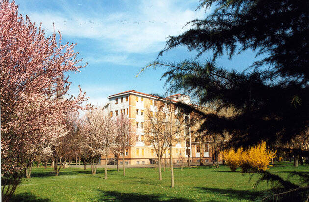 casamadres.jpg