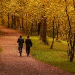 Sulla strada dei sogni infranti