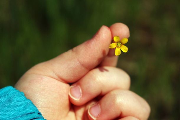 La gentilezza: Bellezza dell’anima
