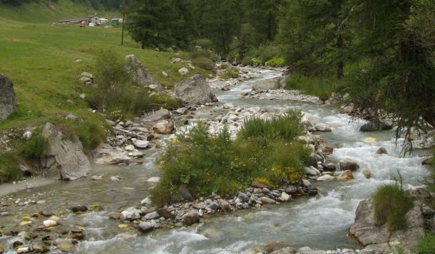 Acqua: dono universale!