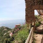 Il bel Pastore, fascino e forza che ci mette in viaggio
